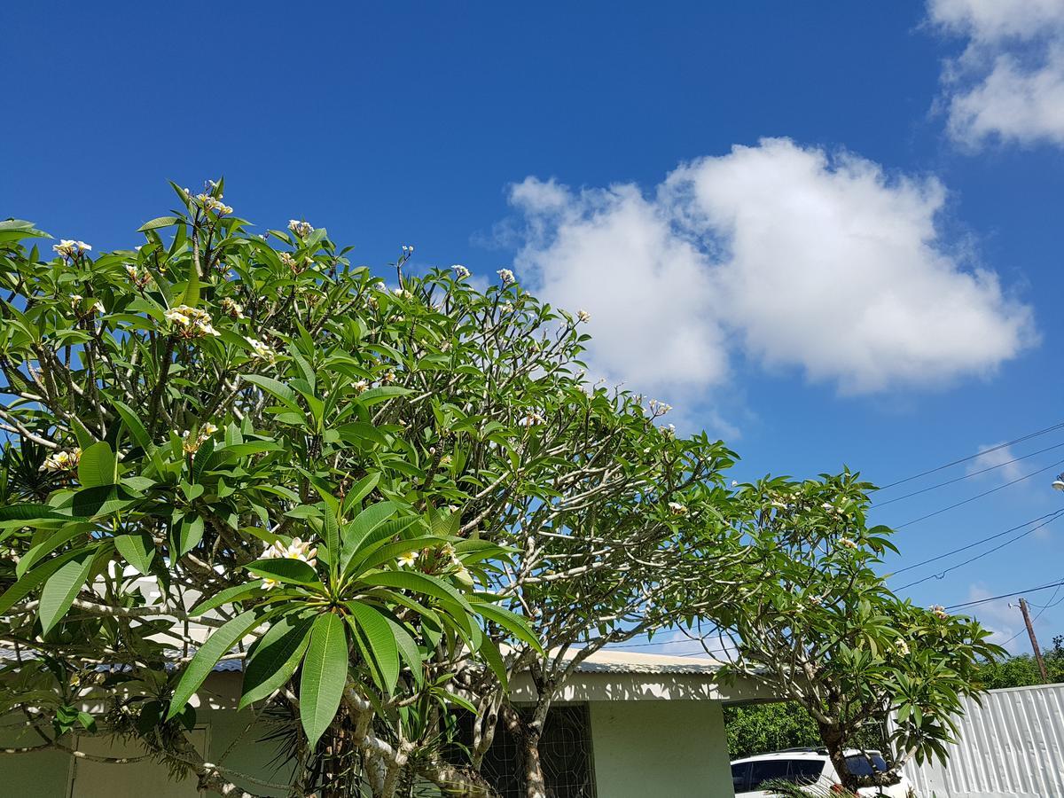 Saipan Family Residence Susupe Exteriör bild